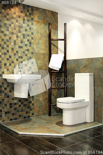 Image of Safari toilet