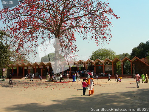 Image of Delhi Zoo