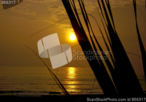 Image of Beach Sunset 