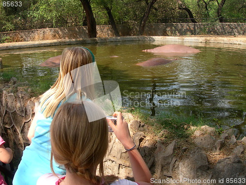 Image of Delhi Zoo