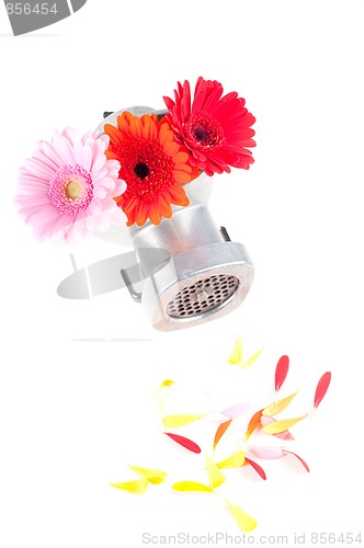 Image of Conceptual photo with flowers