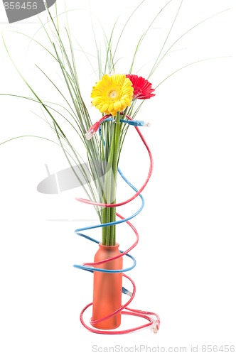 Image of Wires and flowers concepts