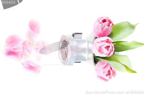 Image of Conceptual photo with flowers