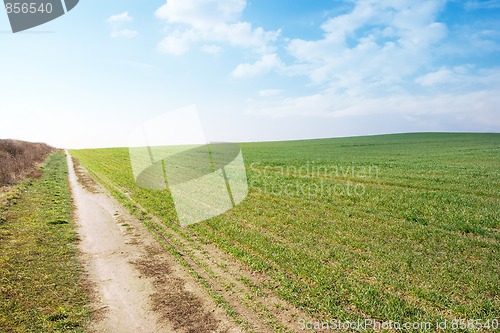 Image of Field