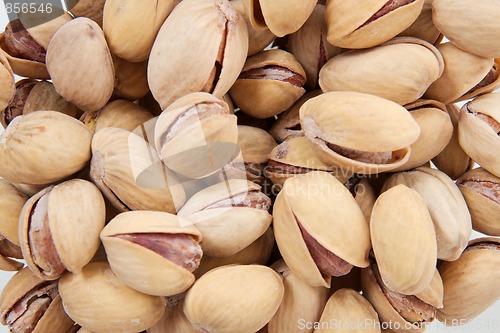 Image of Pistachio