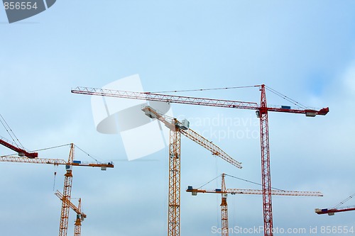 Image of Cranes