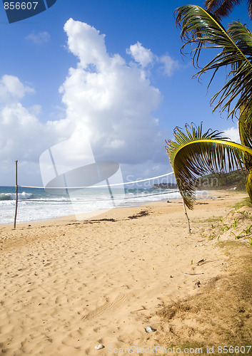 Image of volley ball court with coconut tree desolate beach long bag corn