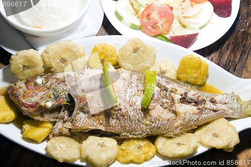 Image of fish dinner with tostones rice salad big corn island nicaragua