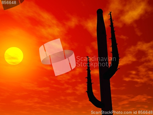 Image of Desert scene