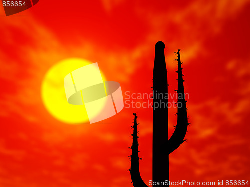 Image of Desert scene