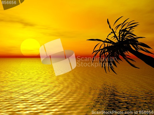 Image of Tropical sunset