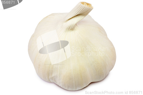 Image of Garlic bulb
