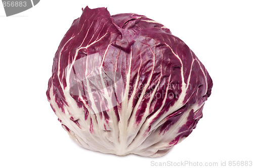Image of Single radicchio