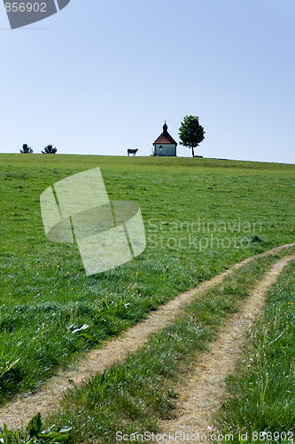 Image of Solitary cow, church and tree remote and rut on the green field