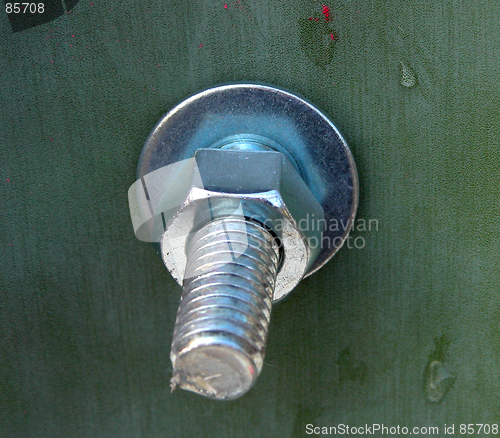 Image of The Screw