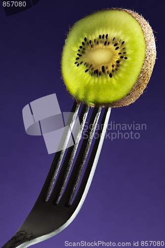 Image of The Kiwi