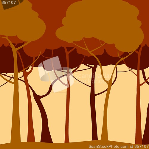 Image of Romantic forest