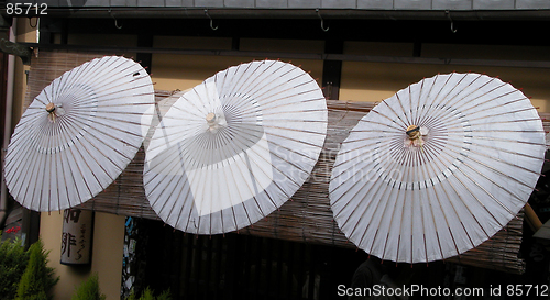 Image of Japanese Umbrellas