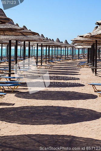 Image of Beach chairs and umbrellas