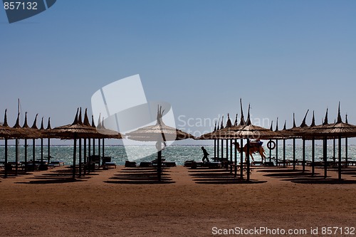 Image of bedouin with camel on the sea beach