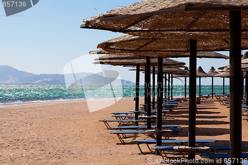 Image of Beach chairs and umbrellas