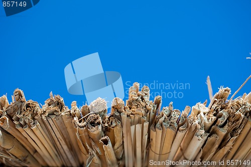 Image of Edge of straw roof