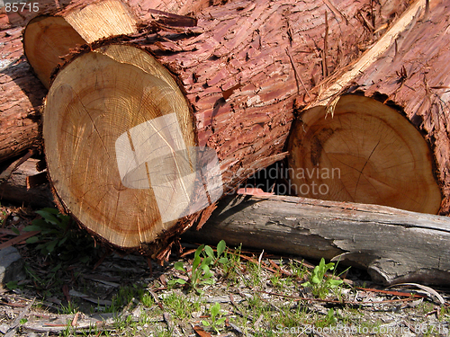 Image of Logs