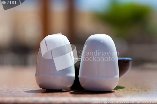 Image of ceramic salt and paper shaker