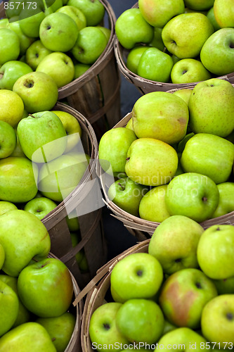 Image of Green Apples In Bushels