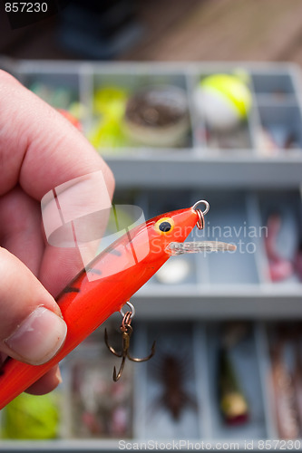 Image of Fishing Lure Selection