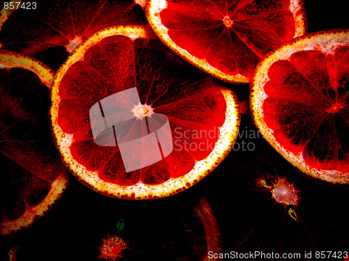 Image of Red grapefruits