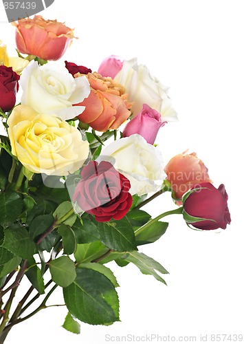 Image of Bouquet of roses