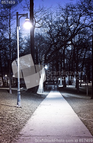 Image of Park path at night