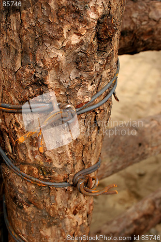 Image of Farm fense post