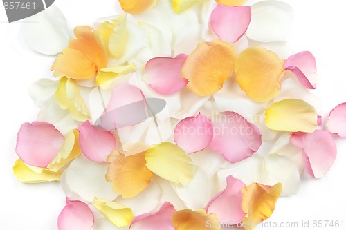 Image of Rose petals background