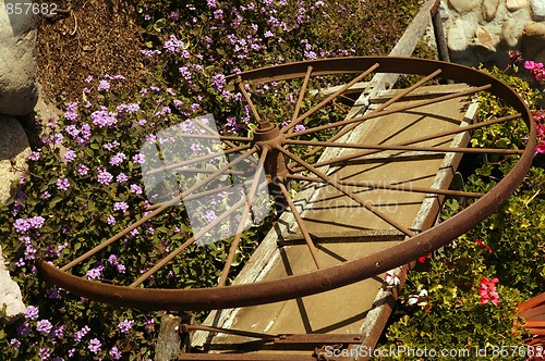Image of Flower Wheel