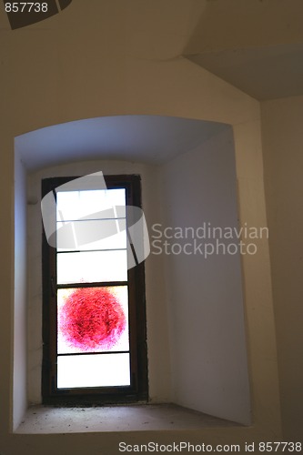 Image of Red Dot View
