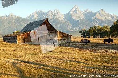 Image of Barn And Grand Teton National Park