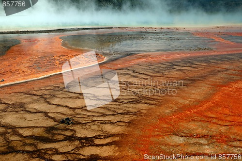 Image of Yellowstone Goes Orange