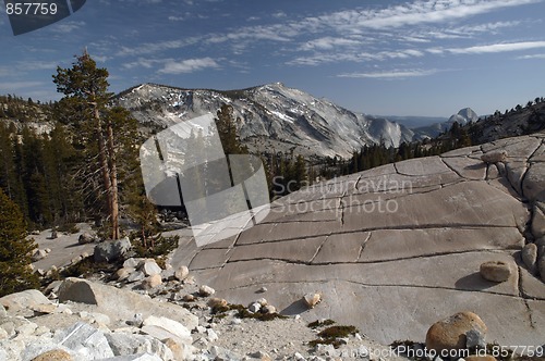 Image of Mountain Glory