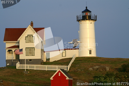 Image of Cape Neddick Fly-By