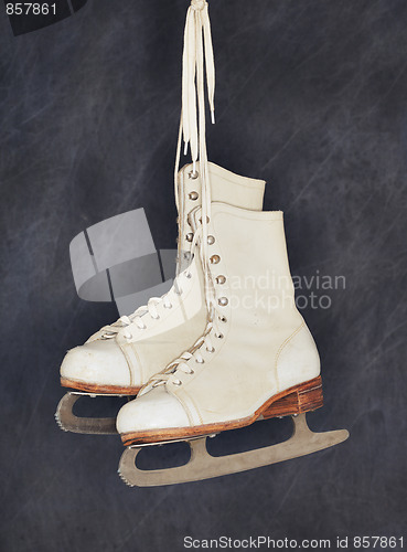 Image of Old Skates