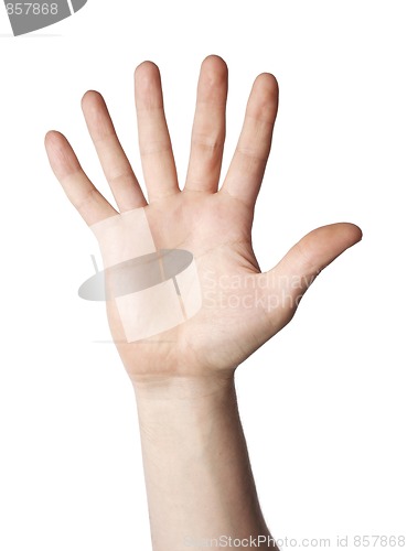 Image of 6 fingers