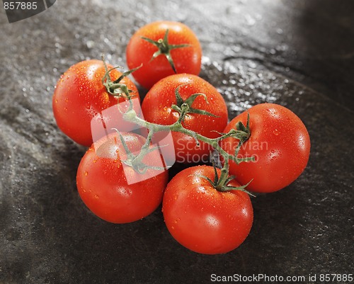 Image of Ripe tomatoes