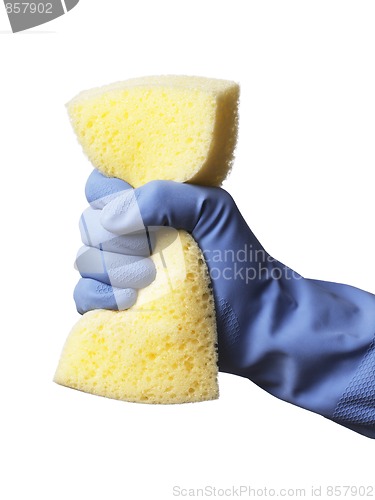 Image of Cleaning 
