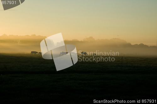 Image of Autumn Landscape