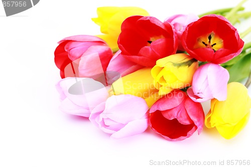 Image of spring