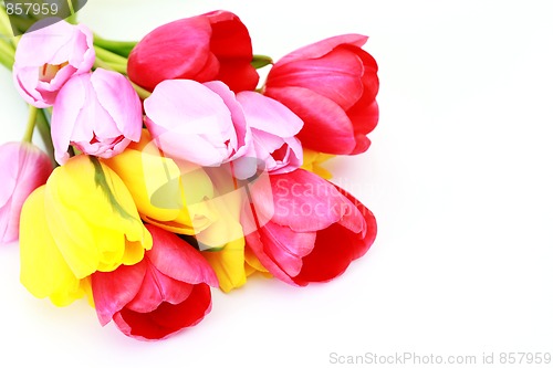 Image of spring