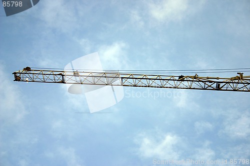 Image of crane