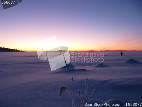 Image of A human watching the sunset